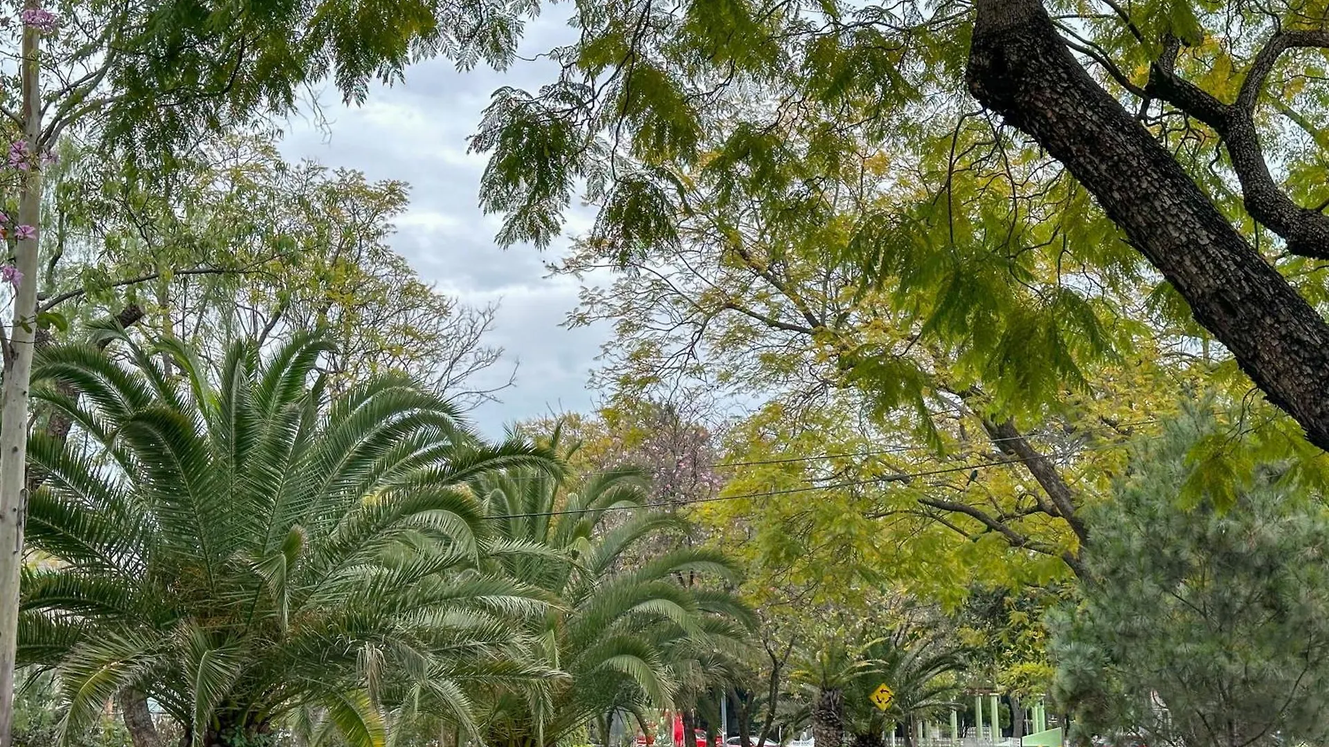 Estudio Roof Con Terraza En Chapalita Guadalajara 0*,  Mexico